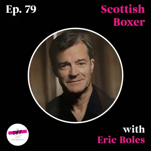 Scottish Boxer