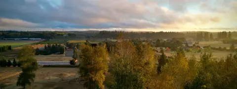 Now That Fall Is Here, What's A Beekeeper To Do?