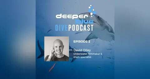 The Day Diving Stood Still, and Underwater Cameraman David Diley
