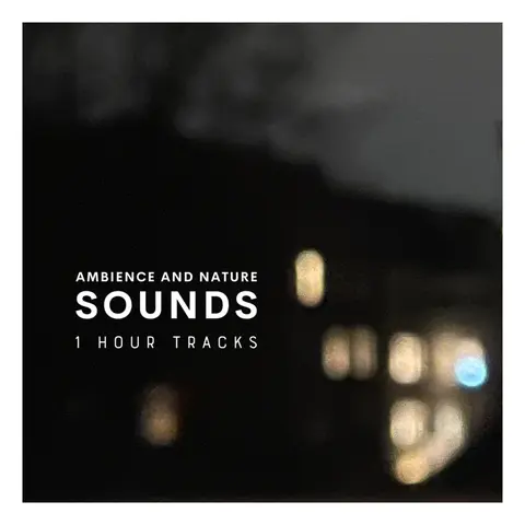 Ambience: Wind and rain sounds from Storm Pia’s visit in Danish city (1 hour)