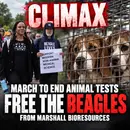 March to End Animal Tests CLIMAX: Free the Beagles