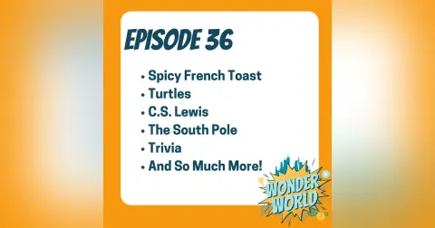 Wonder World Podcast Monday, November 27