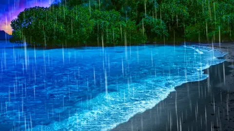 Rain Sounds to Sleep + Ocean Waves for Relaxation = Pure Bliss!