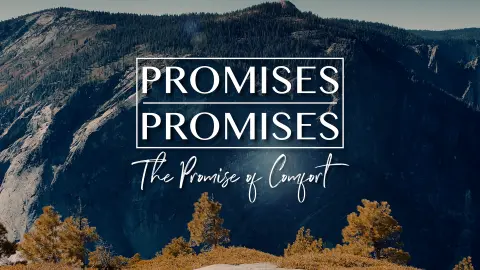 The Promises of Comfort