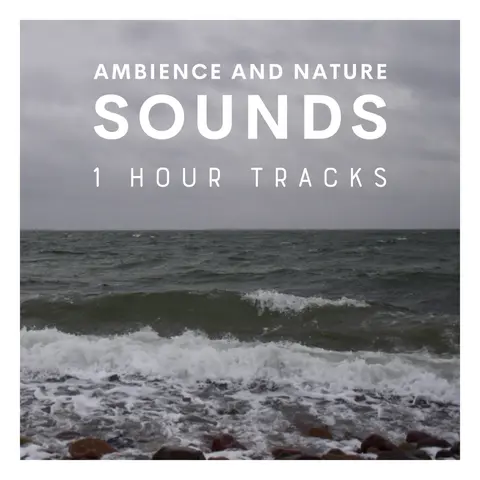 Windy and refreshing: Danish seaside during winter (1 hour)