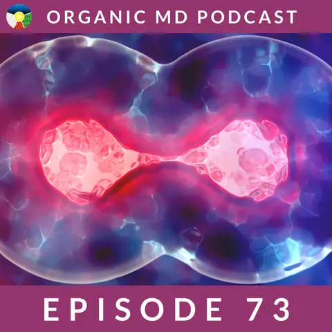Exploring Research Showing the Power of Adult Stem Cells