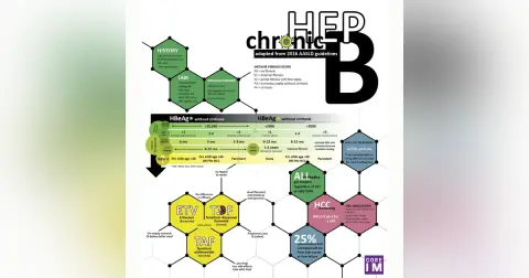 #8 Chronic Hepatitis B (Part 2) Management: 5 Pearls segment