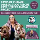 Paws of Change: Deassa’s Dog Rescue Ripple Effect Animal Project