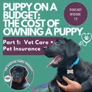 Episode 13 (Part 1) Puppy on a Budget: The Cost of Owning a Puppy