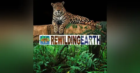 Episode 41: Chance Cutrano On Correcting The Mismanagement of Point Reyes National Seashore