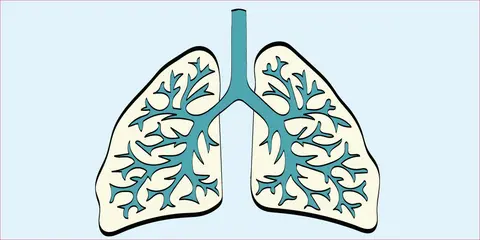 Mediastinal Masses