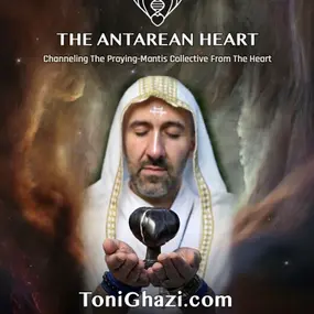 Toni Ghazi Profile Photo