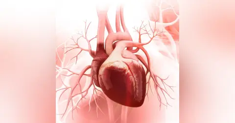 Right Ventricular Heart Failure