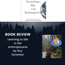 Confronting Reality: Patience, Reflection, and Love in the Anthropocene