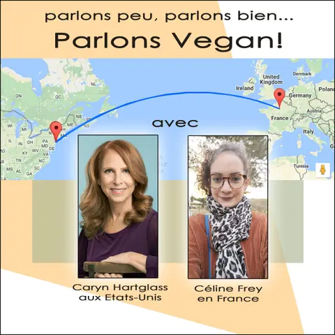 Épisode 14 – La Gélatine et L’Agar-Agar