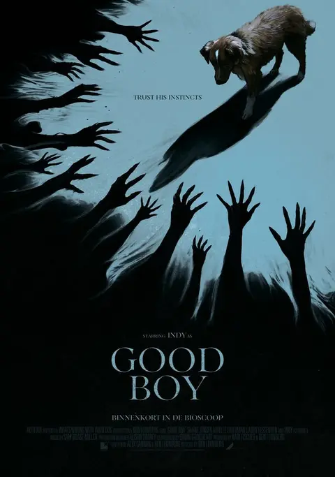 Good Boy - The Hero We Need