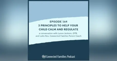 3 Principles to Help Your Child Calm and Regulate