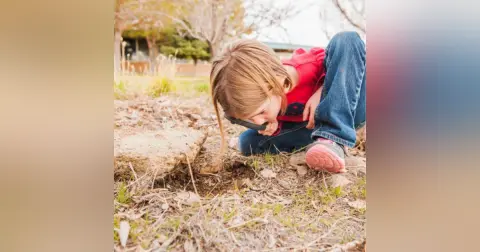 Looking For Nature