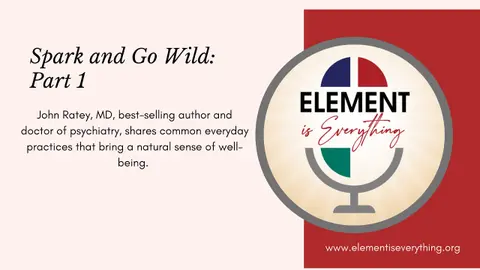 Spark and Go Wild Part 1