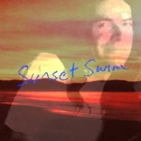 Sunset Swim