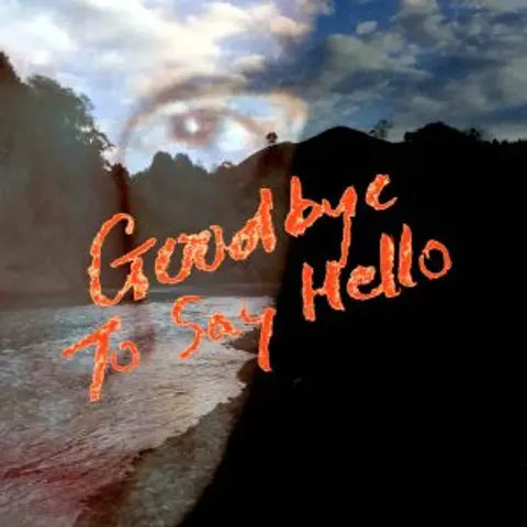 Goodbye To Say Hello