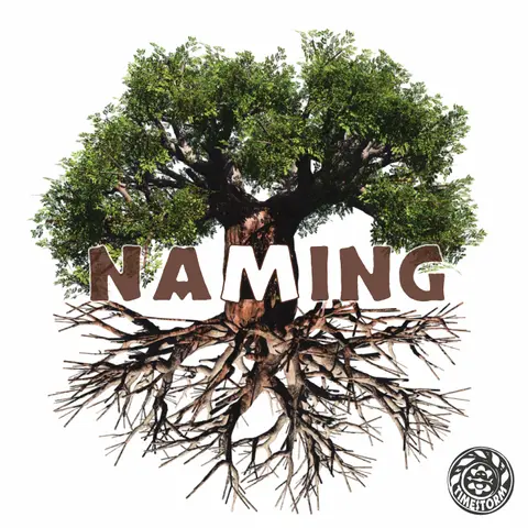 Episode 12: Naming