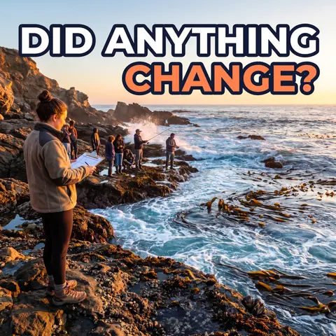 You Left a Public Comment. Now What?