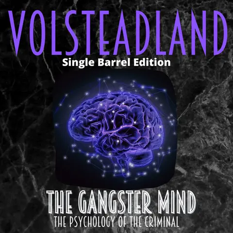 The Gangster Mind