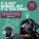 Episode 7: It's Not Bribing, It's Teaching!