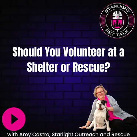 The Many Rewards of Volunteering in Animal Rescue
