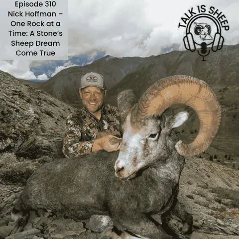 Nick Hoffman – One Rock at a Time: A Stone’s Sheep Dream Come True