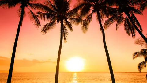 Tropic Wonder (Part 2): The Journey Begins – Travel Story from Winter to Warm Sun