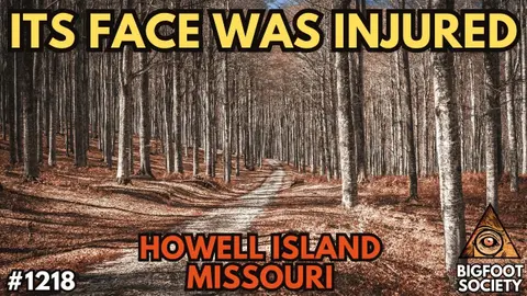 Mother Sees a 7-Foot Figure Step Onto a Trail Near St. Louis
