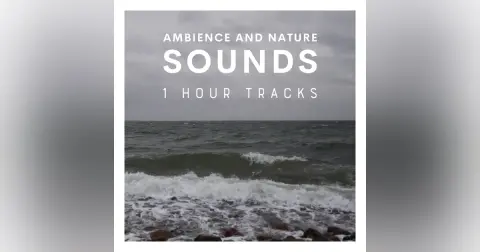 Windy and refreshing: Danish seaside during winter (1 hour)