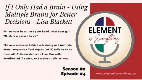 If I Only Had a Brain   Using Multiple Brains for Better Decisions Lisa Blackett