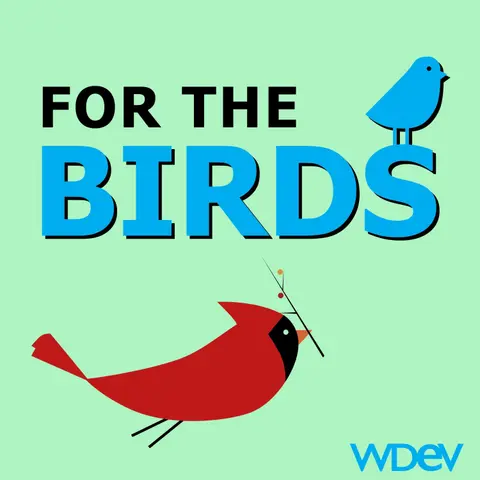 For The Birds - 10/10/2026