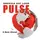 America Out Loud PULSE