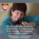 304. Grief & The Sacred Process of Pet Transitions - Maribeth Decker