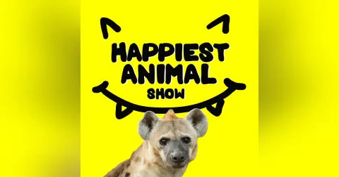 Misunderstood Animals (with comedian Alex Falcone)
