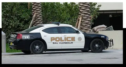 Black and White Police Cars: As Prevalent As We Think?