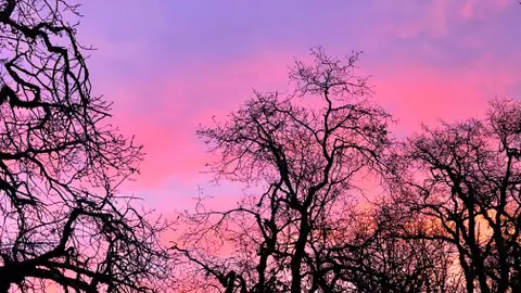 a new day