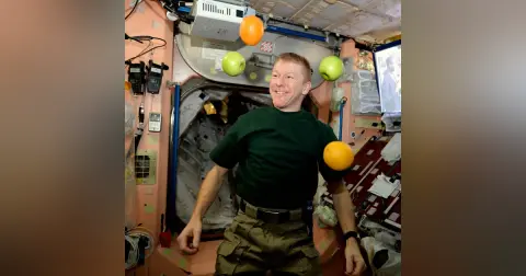 Doing physics in microgravity environments