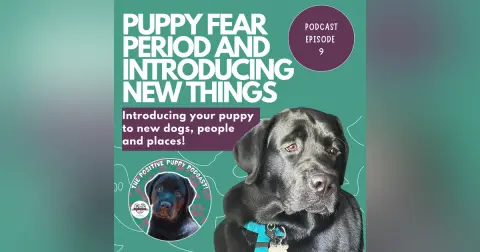 Episode 9: Puppy Fear Period and Introducing New Things