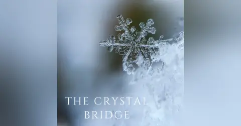 E5: The crystal bridge to consciousness