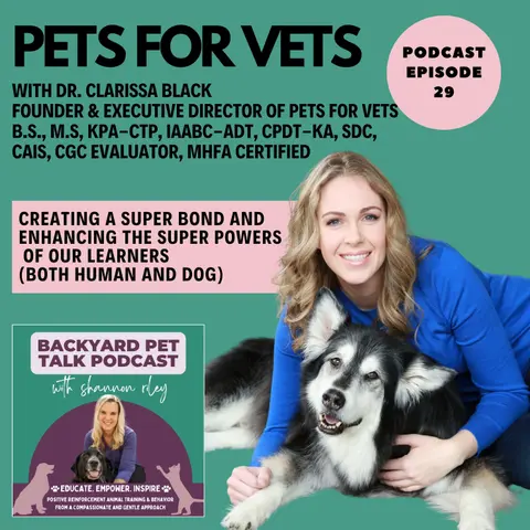 Pets For Vets with Clarissa Black