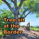 S5E24: Tree Sit at the Border