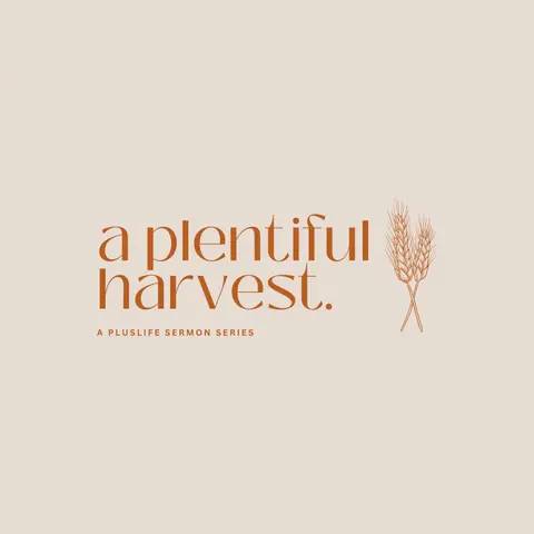 A Plentiful Harvest | Reflecting for Fruit