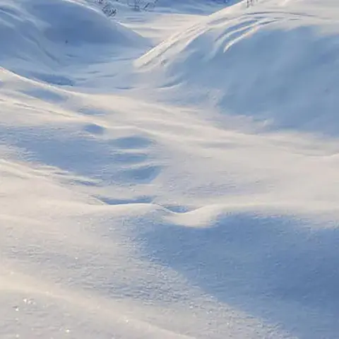 Winterizing Your Life Up North