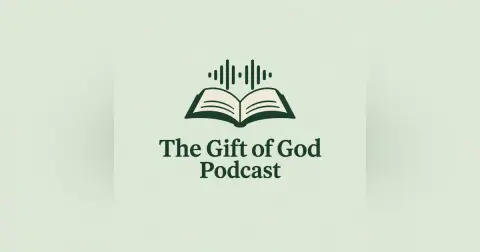 Testing the RSS feed and website compatibility