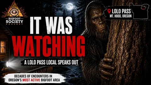 A Lolo Pass Local Finally Talks About What's Happening Near Mt. Hood